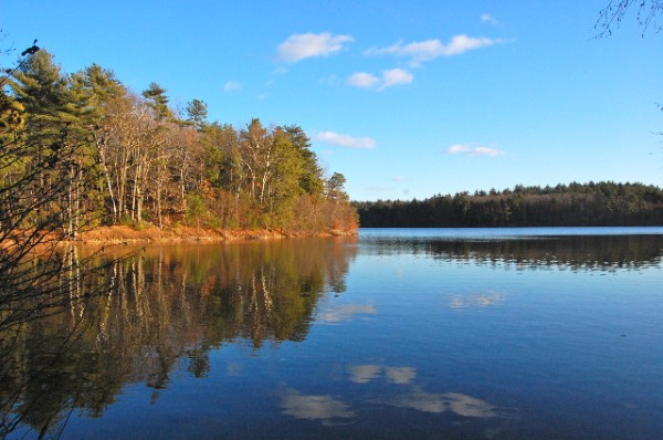 Walden Pond, 2010