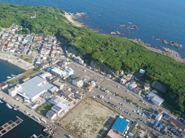 The houses huddling under the hill on the landward side of Jogashima