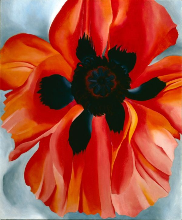 O’Keeffe: Red Poppy, 1928 (private collection)