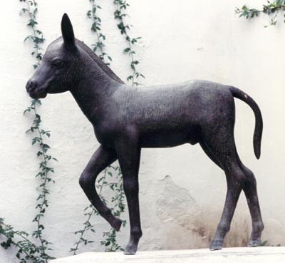 Ortega: Bronze statue of Platero (Moguer, Spain)