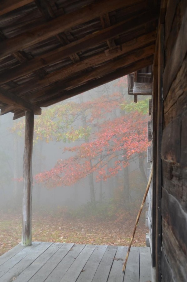 Shelter of the Porch (photo by esywlkr)