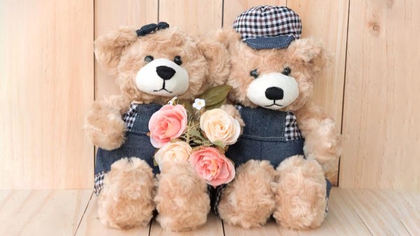 Teddy Bear Day image