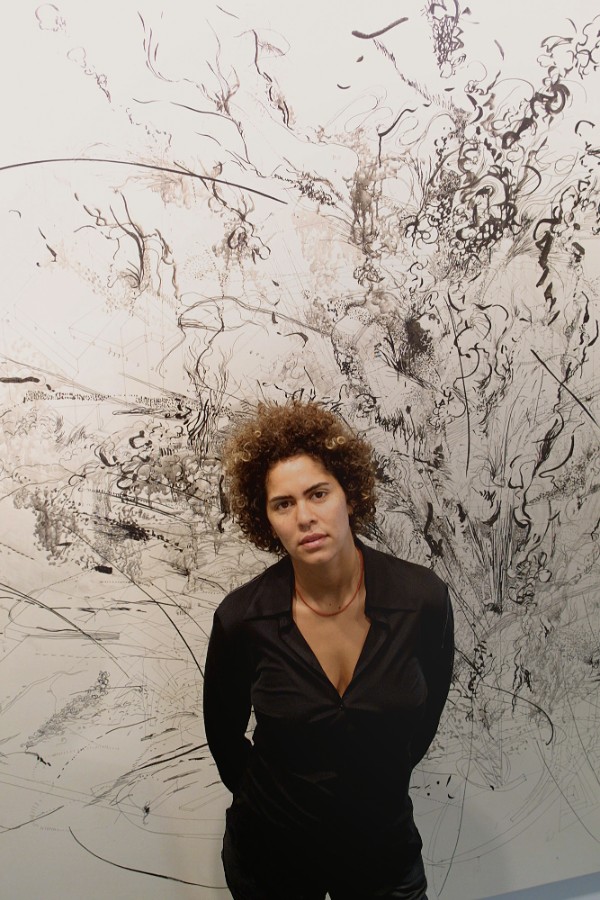 Julie Mehretu