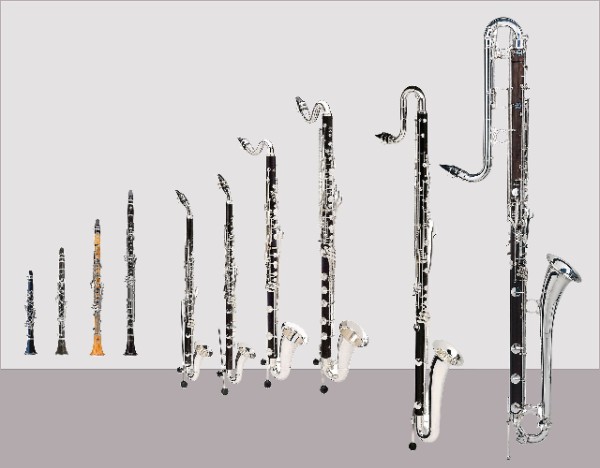 Different kinds of clarinets