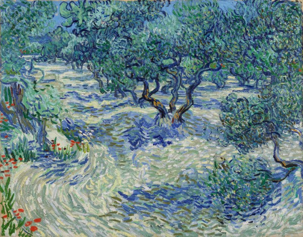Vincent van Gogh: Olive Trees, 1889 (Nelson-Atkins Museum)