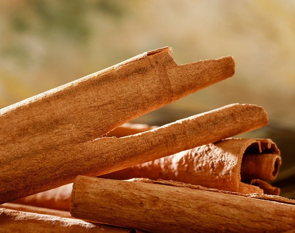 Cinnamon Bark (Photo by Bertrand Thiry)