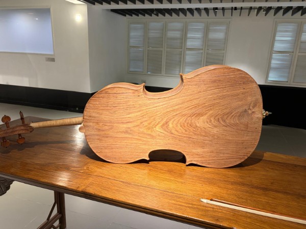 Back of the cello