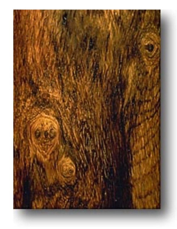 Close up of the wood