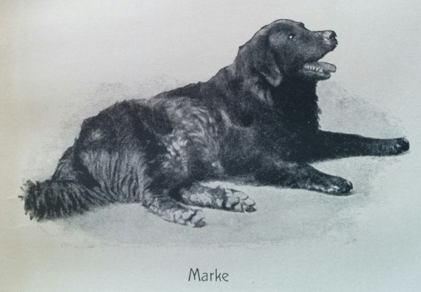 Richard Wagner's dog Marke