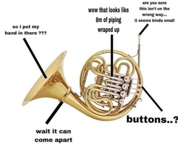 Why put your hand into the horn