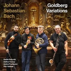 Transcending Sleep: Bach’s Goldberg Variations