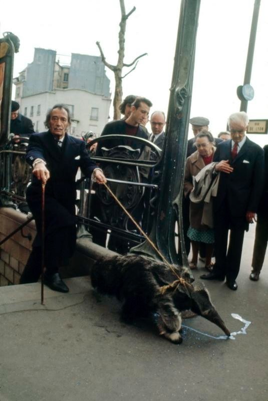 Dalí walks his anteater in Paris, 1969