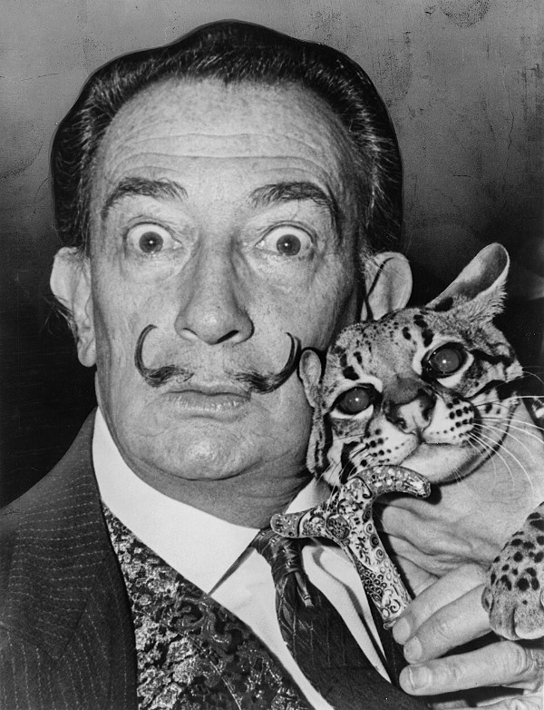 Roger Higgins: Salvador Dalí and his ocelot Babou, 1965 (Library of Congress: cph.3c14985)