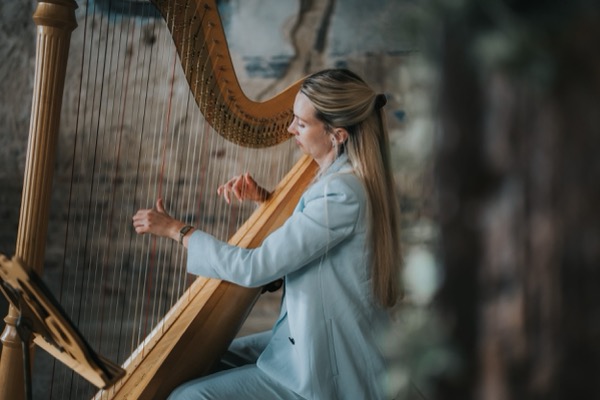 A Small Look at the Harp