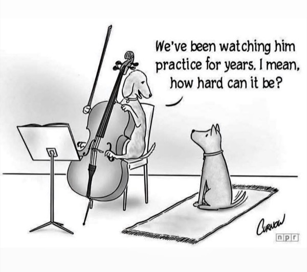 Cartoon How hard can it be