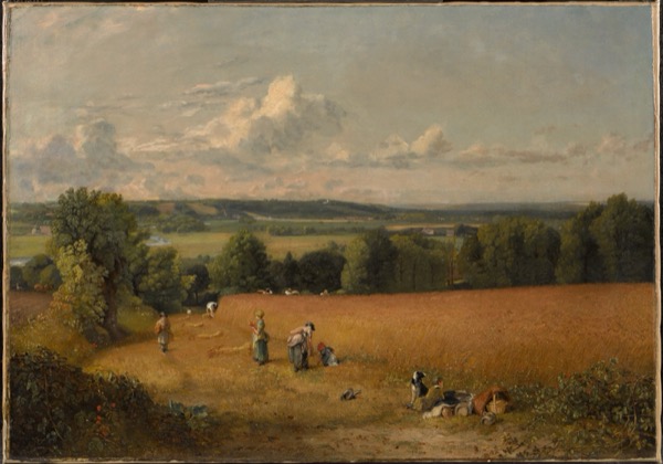 John Constable: The Wheat Field, 1816