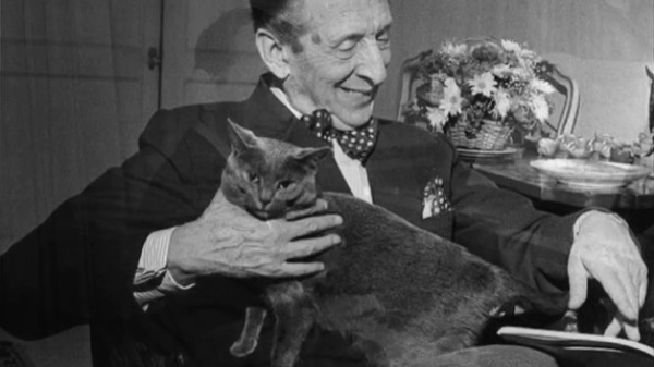 The Cat-Loving Pianists of Classical Music: From Liszt to Horowitz and Beyond