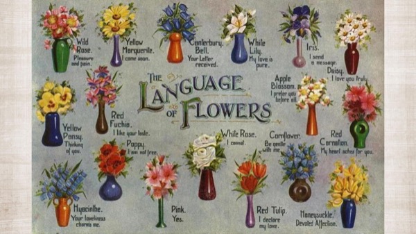 The Language of Flowers