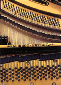 Blüthner Grand Piano made in 1874 with Aliquot strings 