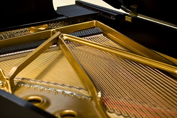 The strings of a Steinway grand piano, 2010 (photo by David Maiolo)