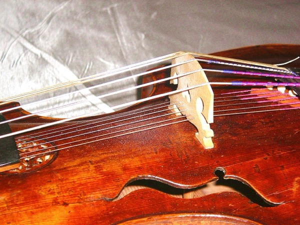 Viola d’amore bridge by Johanne Paul Schoern, between 1700 and 1715 (photo by Aviad2001) (Owned by Anton Steck)