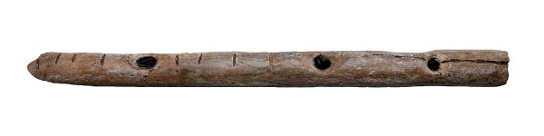 Aurignacian flute made from an animal bone, 43,000 to 39,000 years old, Geissenklösterle, 2007 (photo by José-Manuel Benito Álvarez)