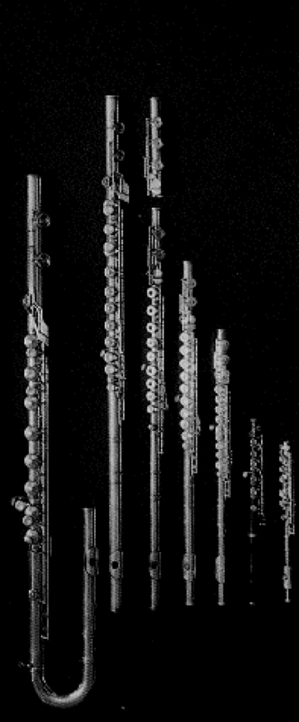 Flute Family