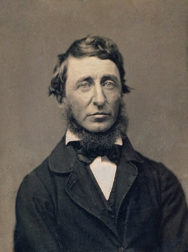 Henry David Thoreau by Benjamin D. Maxham
