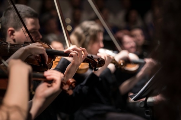 Photo of a string section in an orchestra by Larisa Birta on Unsplash